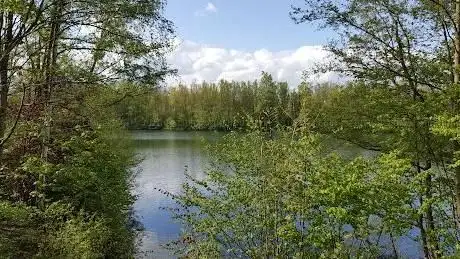 Photo de Aussichtspunkt Menzelsee