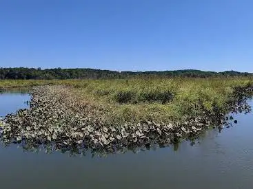 Photo de Parris N. Glendening Nature Preserve