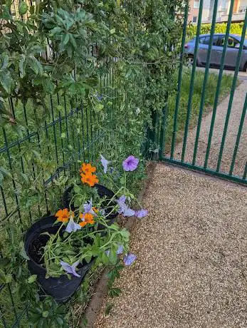 Photo de Jardin partagé de la pointe du lac