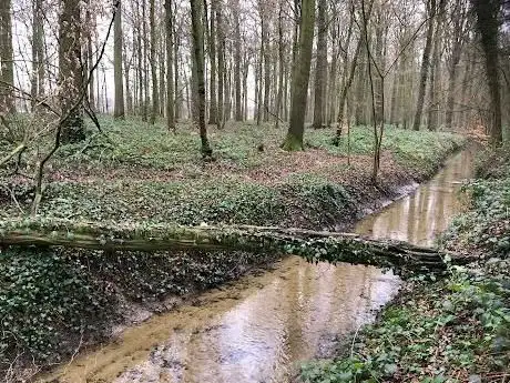 Photo de Jesuiterbrook