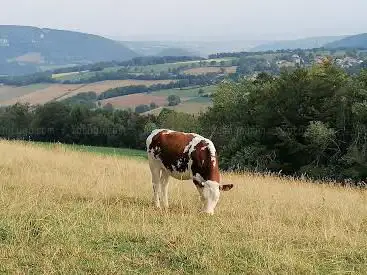 Photo de Point De Vue De Montaigue