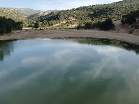 Photo de Barrage collinaire Oued Tildi
