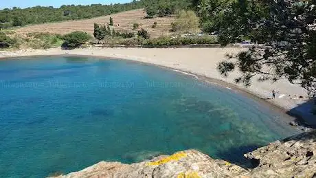 Photo de Plage du Sana