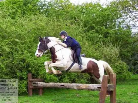 Photo de Whitmore Riding School
