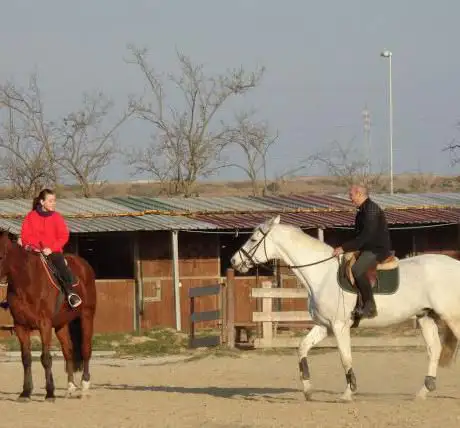 Photo de Livorno Equestrian Center