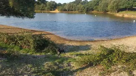 Photo de Setley Pond