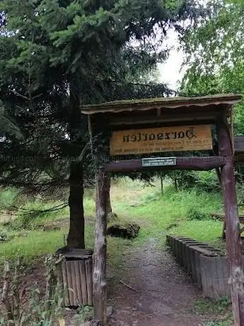 Photo de Harzgarten