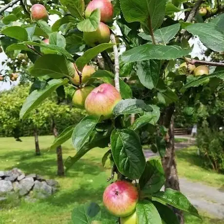 Photo de Monumentendienst