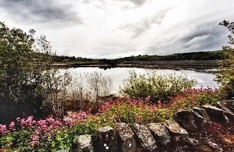 Photo de Cammogue Marsh Wildlife Marsh and Bird Sanctuary