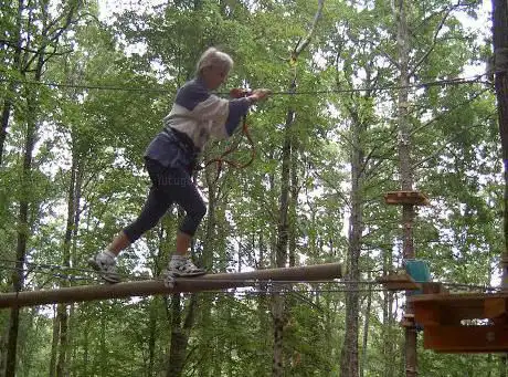Photo de FUN FOREST