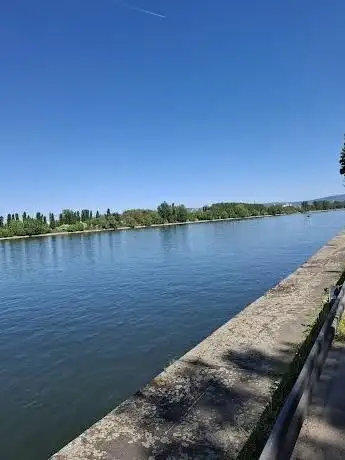 Photo de Promenade au bord du Rhin