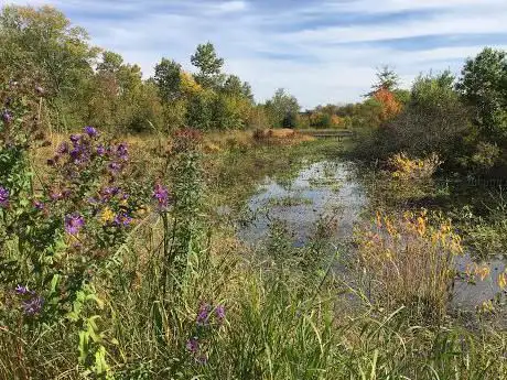 Photo de Alewife Brook Reservation