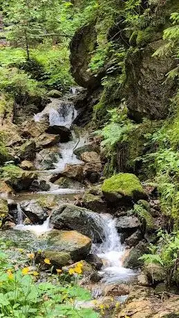 Photo de Wildwasserlauf