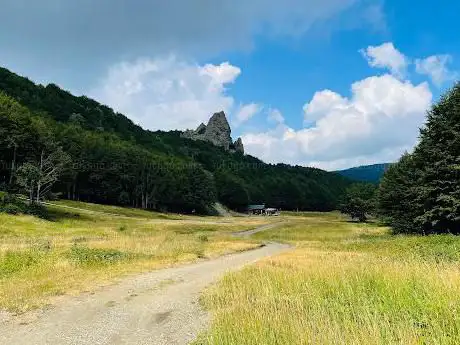 Photo de Onion's meadows