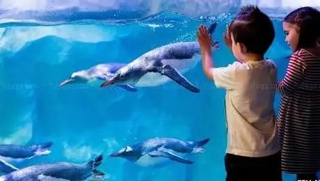 Photo of SEA LIFE Konstanz