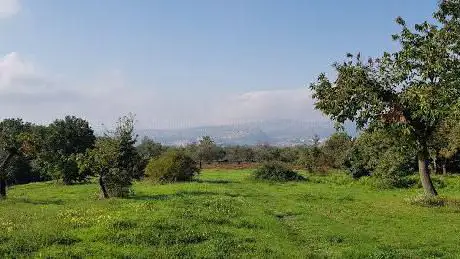 Photo de Bosco Castagna