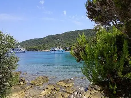 Photo de beach Mlaska