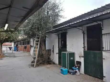 Photo de ASD Centro Ippico I Tifatini