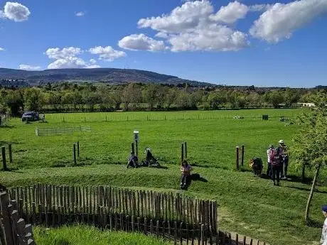 Photo de Airfield Estate
