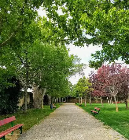 Photo de Parque del Conde