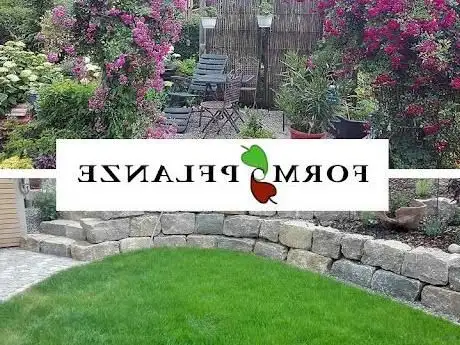 Photo de Form & Pflanze Garten- und Landschaftsbau