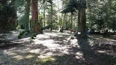 Photo de Arboretum