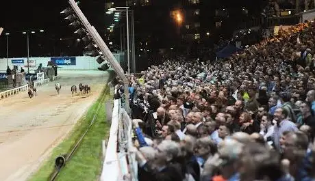 Photo de Shelbourne Park