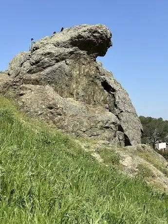Photo de Niobe Weeping Rock