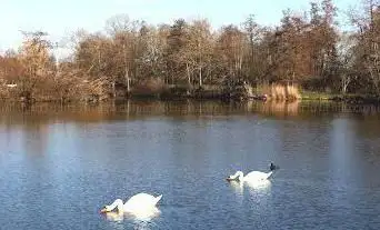 Photo de Espace naturel sensible du Plain à Damelevières