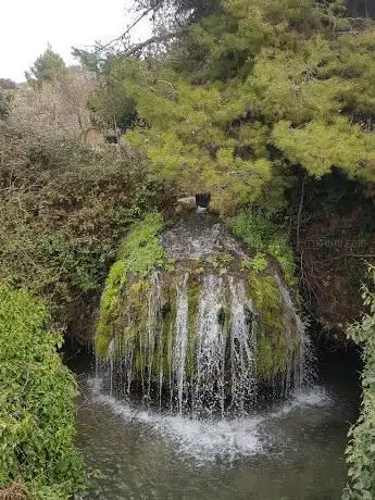 Photo de Mirador de Ayora - Ruta del Agua