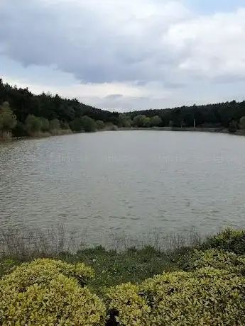 Photo de Sarnıç Gölet Piknik ve Yürüyüş alanı