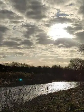 Photo de Warwickshire Moor local nature reserve