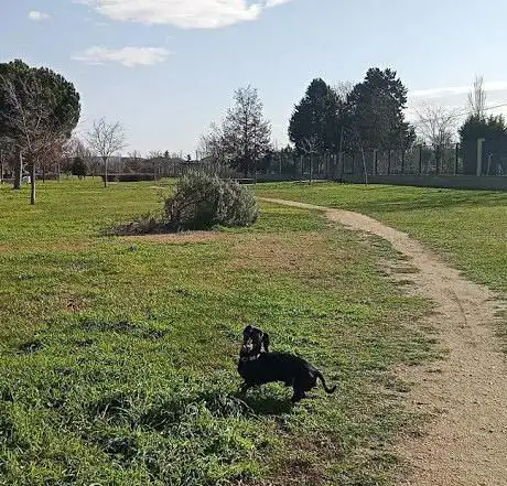 Photo de Parque de El BaldÃo