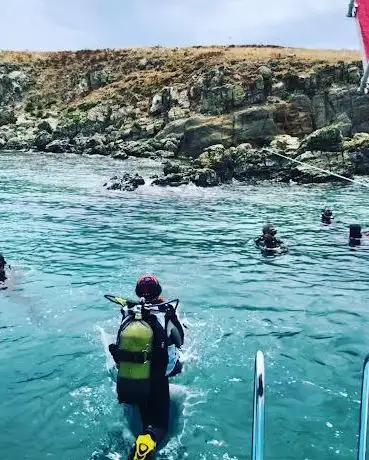 Photo de Kuzey Mavi Dalış Eğitim Merkezi