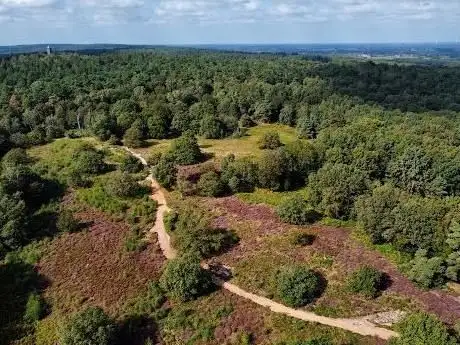 Photo de Hooge Heide (Bergherbos)