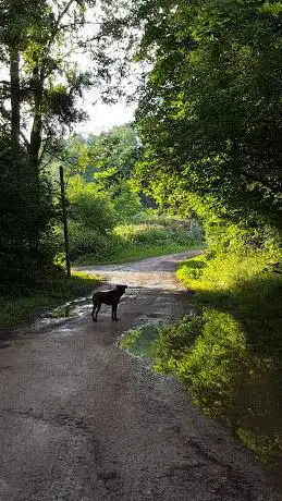 Photo de Bois le Roi