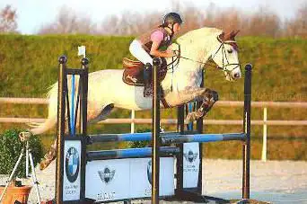 Photo de STUD OF THE HILL