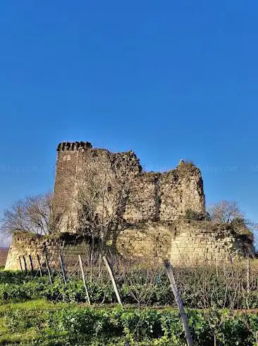 Photo de Donjons De Beaumont ou tour Négreteau