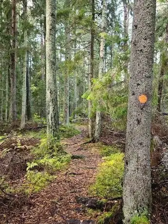 Photo de Gullunge naturreservat