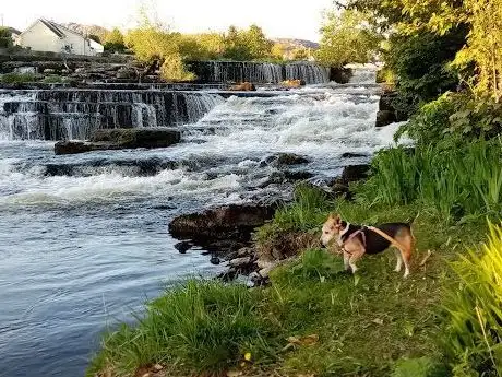 Photo de Ballysadare River