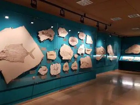 Photo of Bürgermeister-Müller-Museum