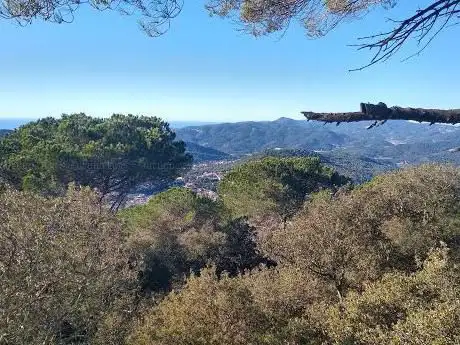 Photo de Turó Rodó