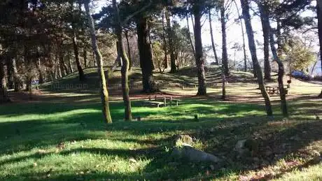 Photo de Ãrea recreativa del Cordal de Peón