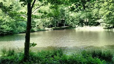 Photo de Le Beau Lac du Parc Régional du Haut Languedoc