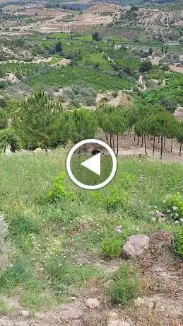 Photo de Bike Park Sicily