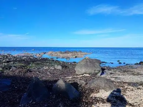 Beach briggs