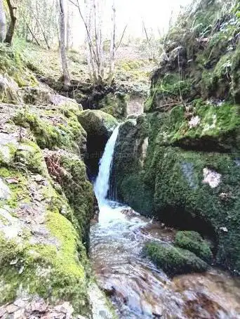 Photo de Les gorges du désert