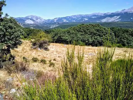 Photo de Parque Pisuerga Cervera