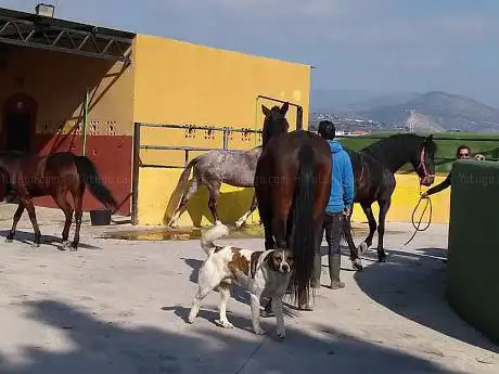 Photo de HÃÂpico Pony Club Costa Tropical