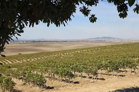 Photo de Viña La Canariera